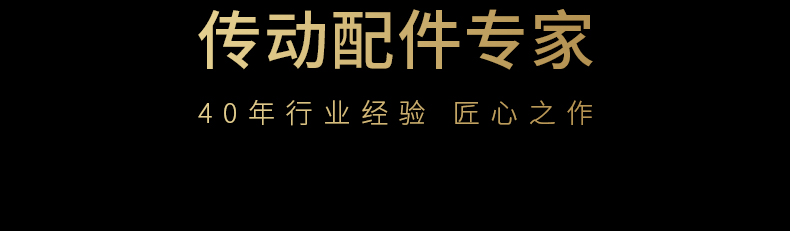 40年齒條傳動配件專家品質(zhì)保障